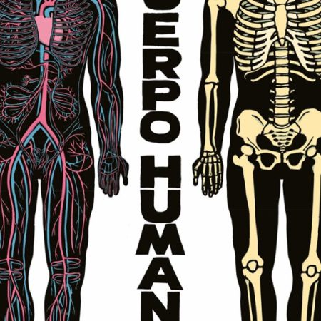 El Cuerpo Humano