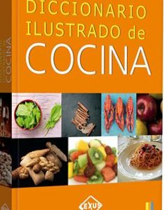 Diccionario Ilustrado De Cocina