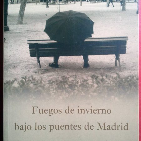 Fuegos De Invierno Bajo Los Puentes