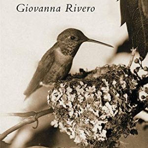 Noventa Y Ocho Segundos Sin Sombra