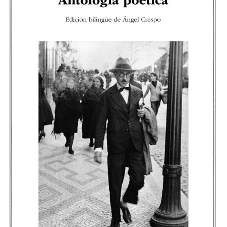 El poeta es un fingidor