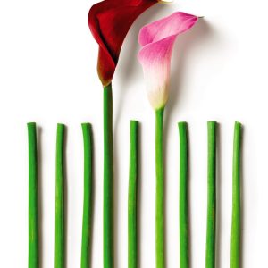 La abad&iacute;a de Northanger