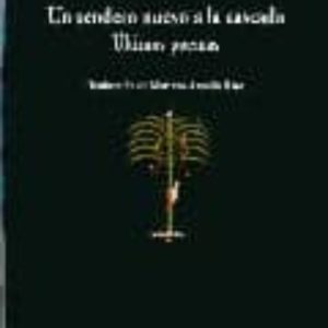 Un Sendero Nuevo A La Cascada